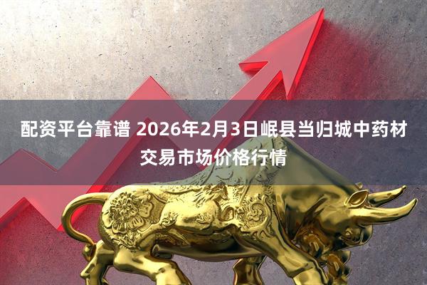 配资平台靠谱 2026年2月3日岷县当归城中药材交易市场价格行情
