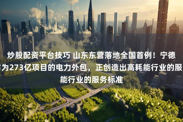 炒股配资平台技巧 山东东营落地全国首例！宁德时代作为273亿项目的电力外包，正创造出高耗能行业的服务标准